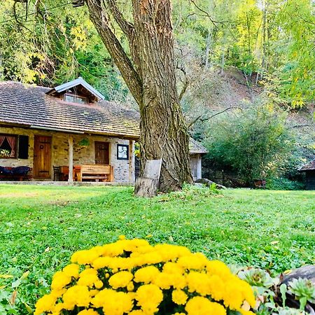 Kuca Za Odmor Todorovica Mlin Villa Gornji Milanovac Kültér fotó