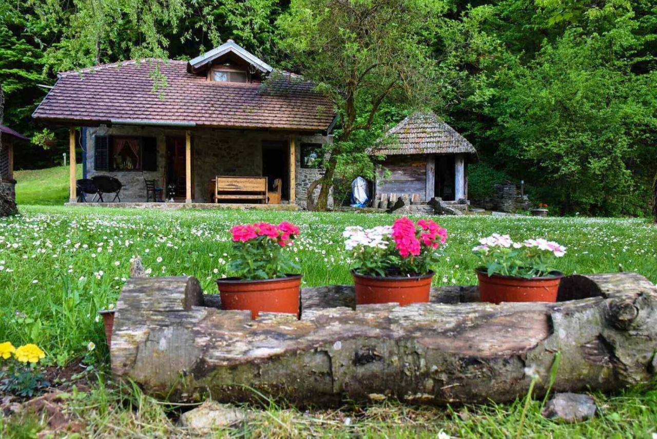 Kuca Za Odmor Todorovica Mlin Villa Gornji Milanovac Kültér fotó
