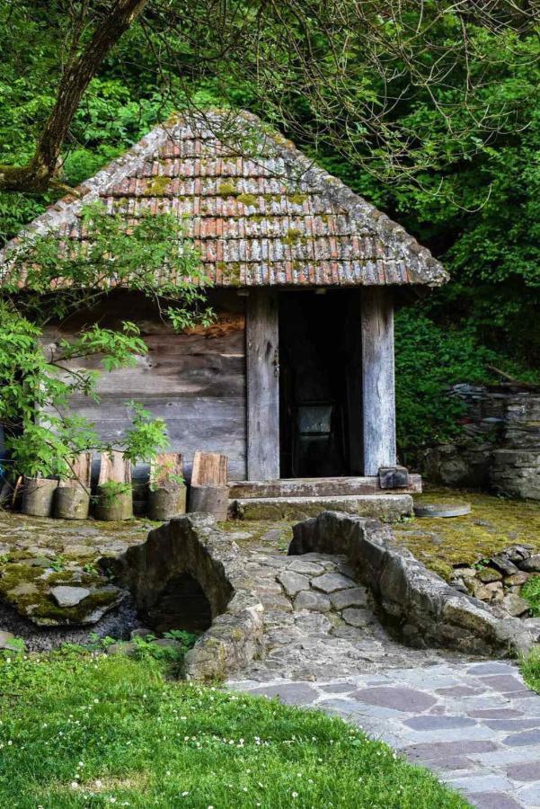 Kuca Za Odmor Todorovica Mlin Villa Gornji Milanovac Kültér fotó