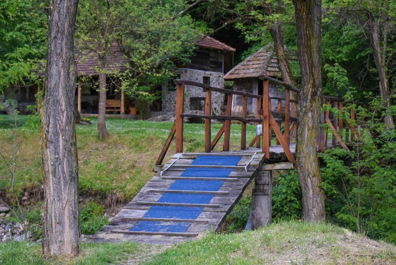 Kuca Za Odmor Todorovica Mlin Villa Gornji Milanovac Kültér fotó