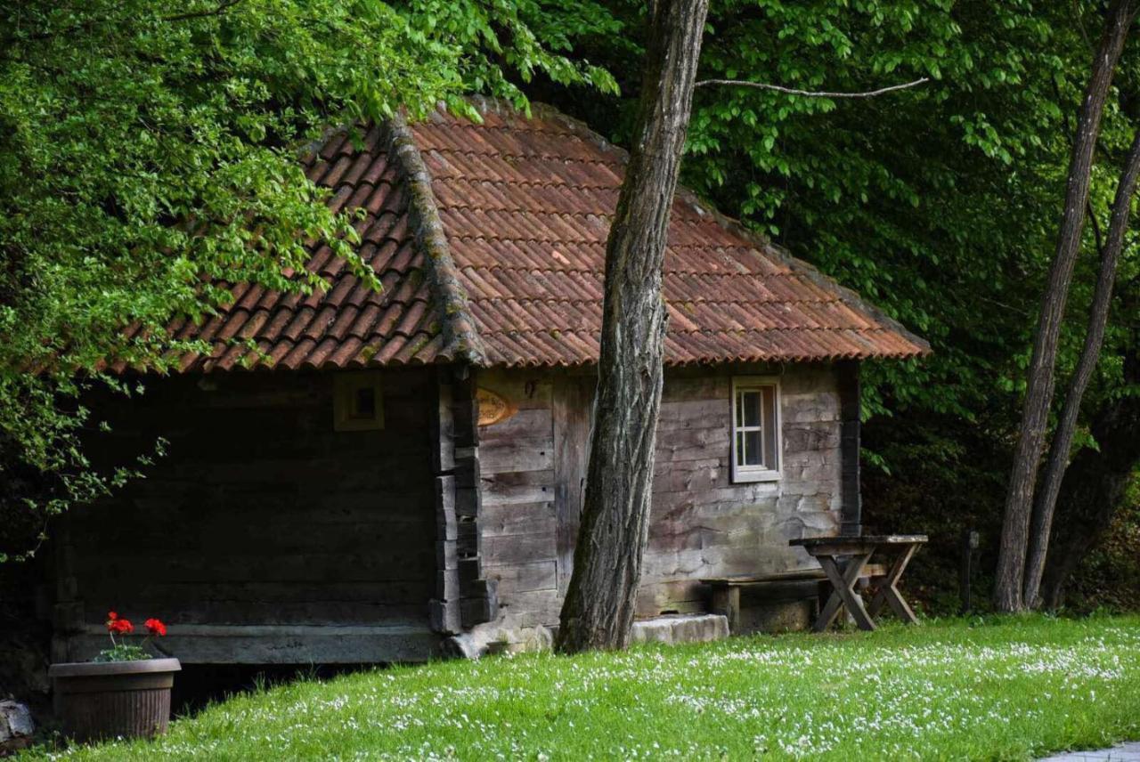 Kuca Za Odmor Todorovica Mlin Villa Gornji Milanovac Kültér fotó