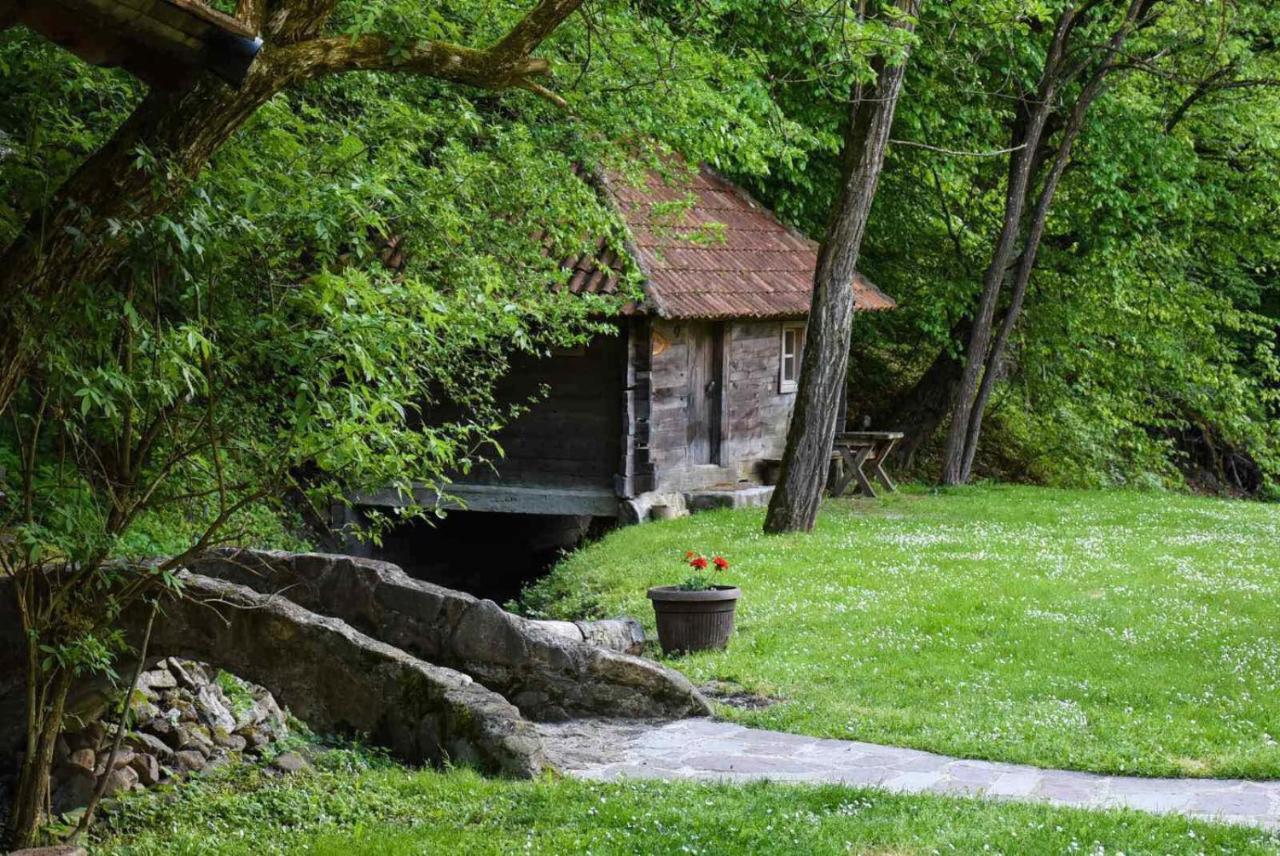 Kuca Za Odmor Todorovica Mlin Villa Gornji Milanovac Kültér fotó