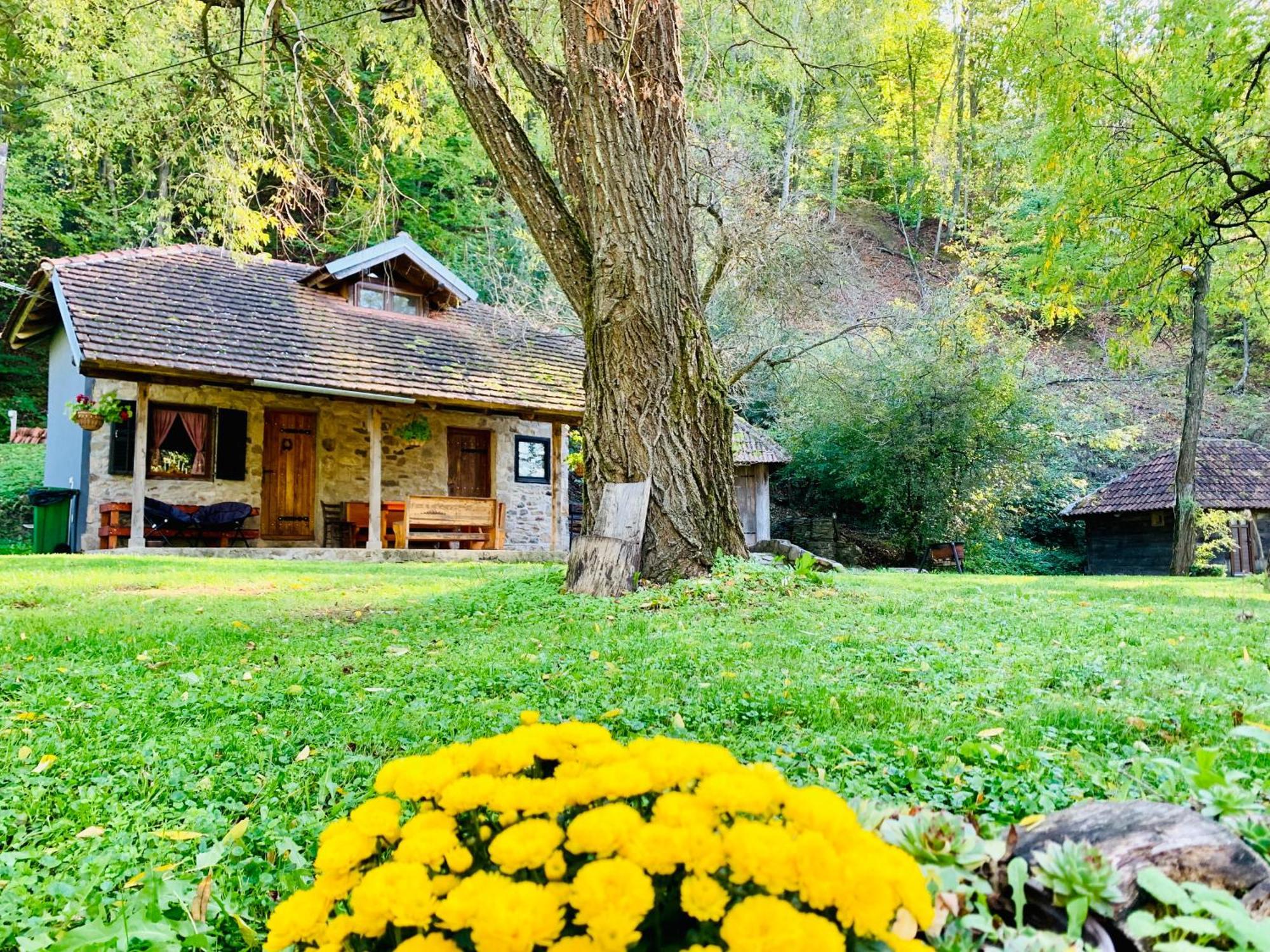 Kuca Za Odmor Todorovica Mlin Villa Gornji Milanovac Kültér fotó