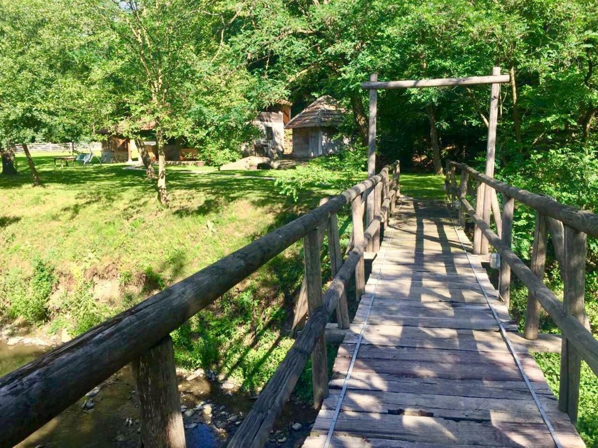 Kuca Za Odmor Todorovica Mlin Villa Gornji Milanovac Kültér fotó