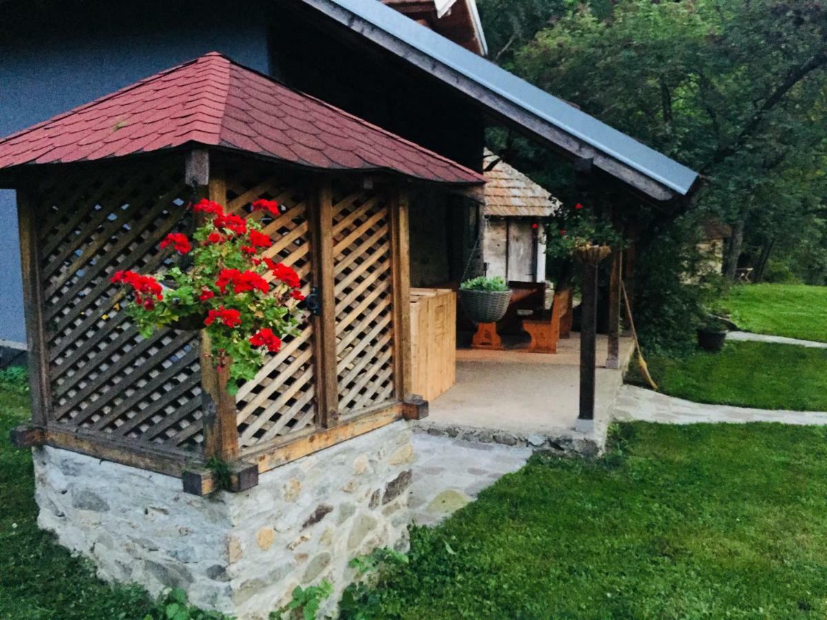 Kuca Za Odmor Todorovica Mlin Villa Gornji Milanovac Kültér fotó