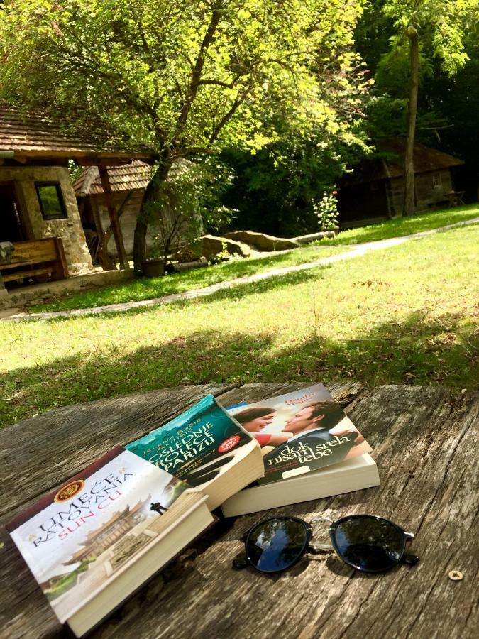 Kuca Za Odmor Todorovica Mlin Villa Gornji Milanovac Kültér fotó