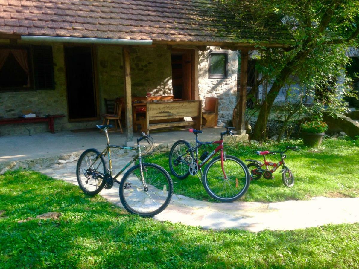 Kuca Za Odmor Todorovica Mlin Villa Gornji Milanovac Kültér fotó