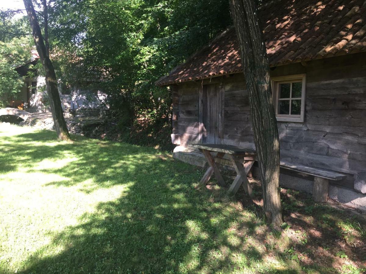 Kuca Za Odmor Todorovica Mlin Villa Gornji Milanovac Kültér fotó